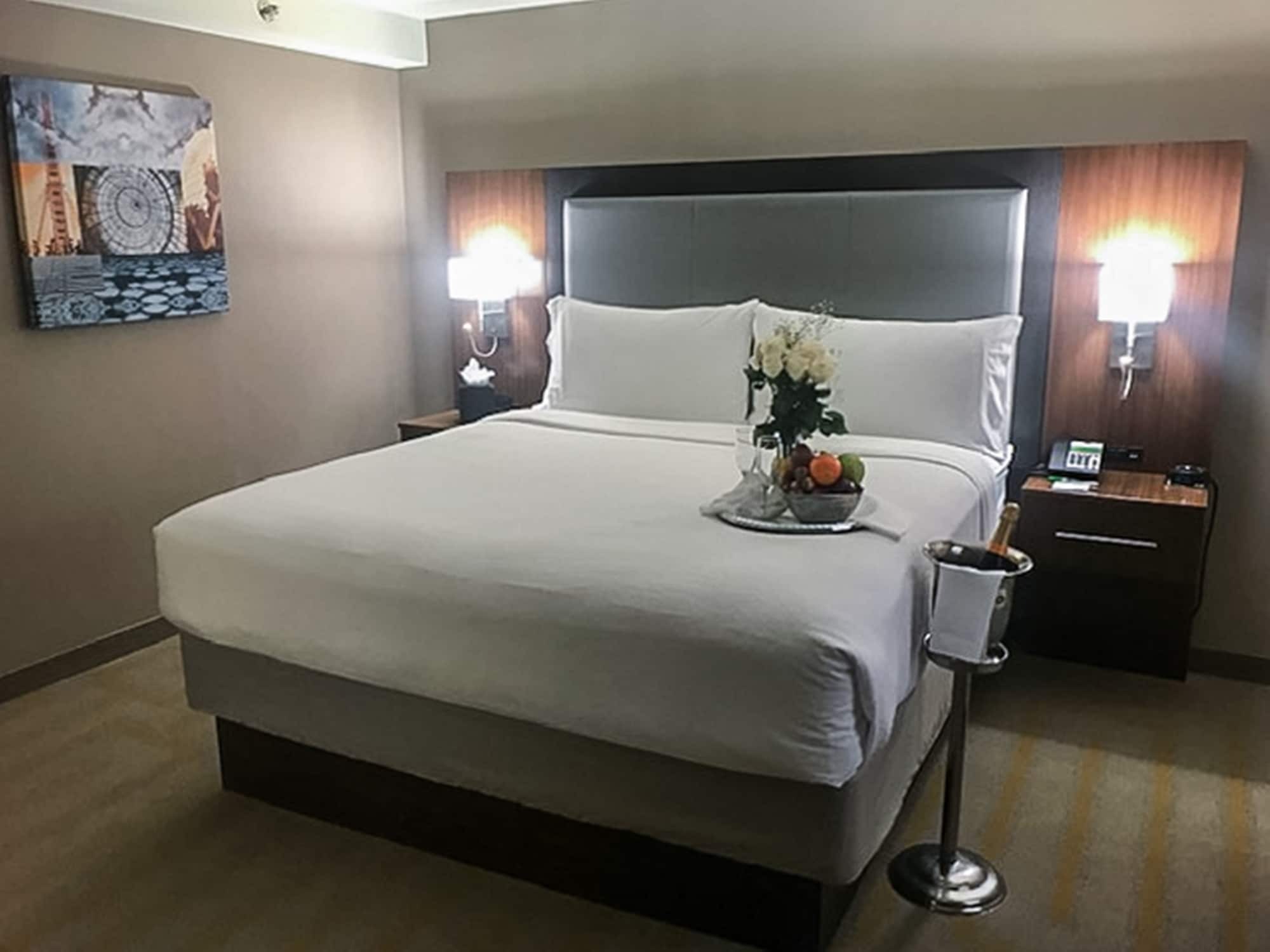 Holiday Inn Chicago Sw-Countryside Confctr By Ihg Zewnętrze zdjęcie